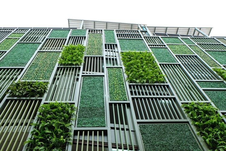 A green wall with plants growing on it

Description automatically generated