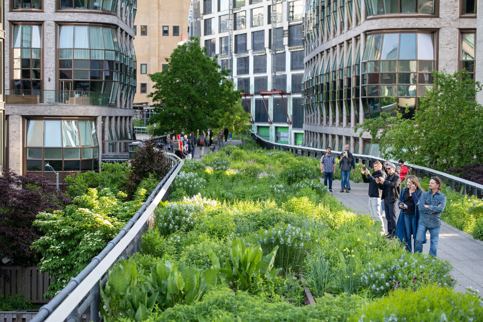 A group of people walking on a sidewalk with plants with High Line in the background

Description automatically generated