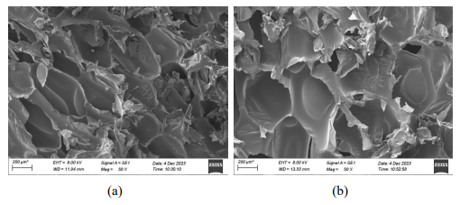 A close-up of a microscope

Description automatically generated