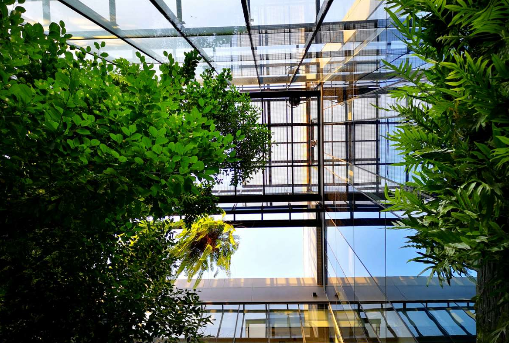 A glass building with trees

Description automatically generated with medium confidence