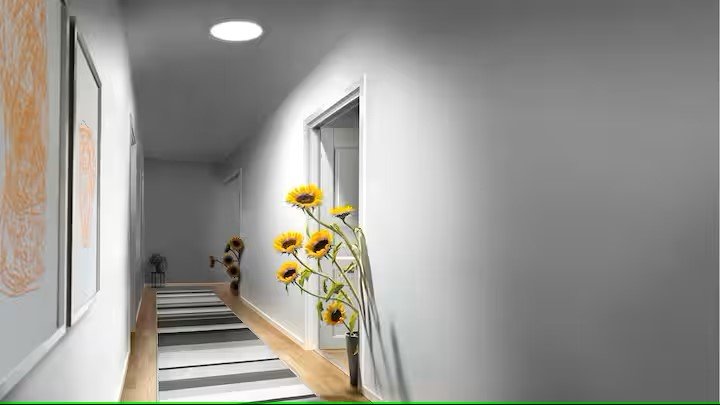 A hallway with sunflowers in a vase

Description automatically generated