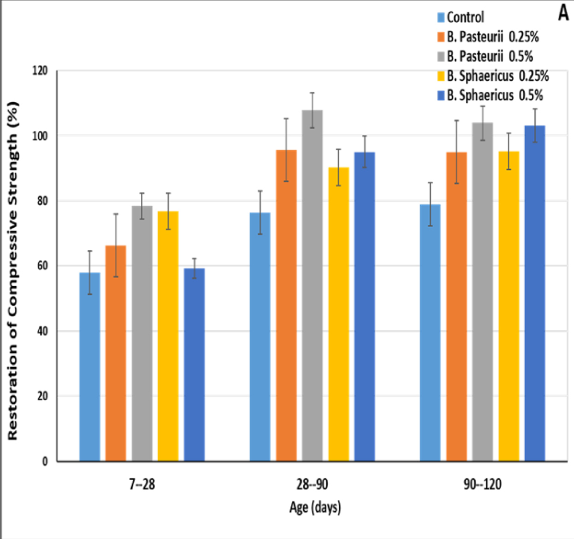 A graph of different colored bars

Description automatically generated