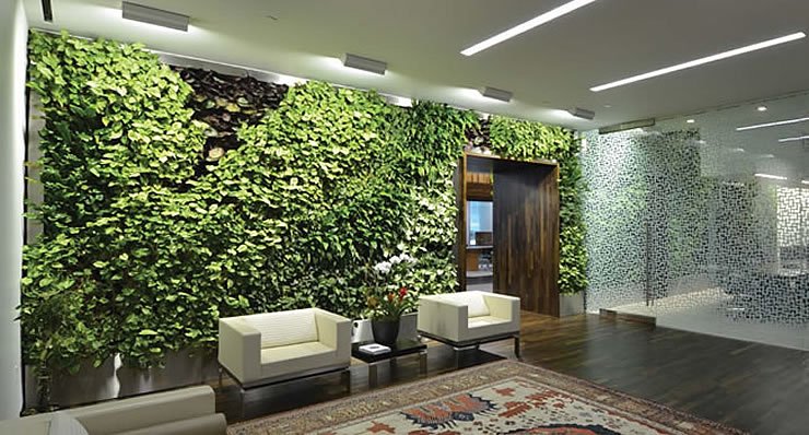 Why Invest in Green Walls? | Green Wall Benefits | TPR