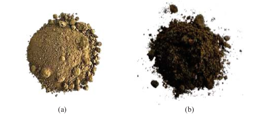 Coal ash waste (a) Fly ash, (b) Bottom ash